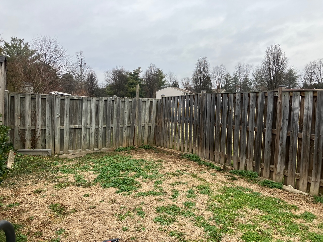 Before image