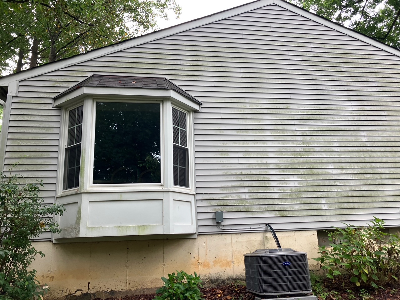 Before image